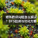 矩阵路径问题怎么解决?DFS回溯与优化方案对比(图2) 矩阵路径问题怎么解决?DFS回溯与优化方案对比(图2)