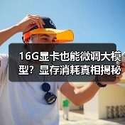 16G显卡也能微调大模型？显存消耗真相揭秘（图2）