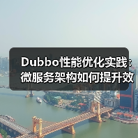 Dubbo性能优化实践：微服务架构如何提升效率与稳定性（图4）