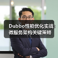 Dubbo性能优化实战：微服务架构关键策略（图4）