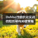 Dubbo性能优化实战：微服务架构关键策略（图2）