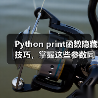 Python print函数隐藏技巧，掌握这些参数同事都夸你资深！（图4）