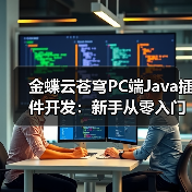 金蝶云苍穹PC端Java插件开发：新手从零入门指南（图4）