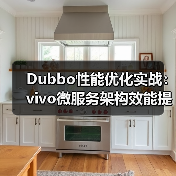 Dubbo性能优化实战：vivo微服务架构效能提升策略（图2）