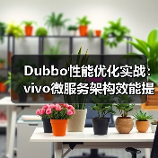 Dubbo性能优化实战：vivo微服务架构效能提升策略（图1）