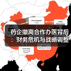 药企撤离合作办医背后:财务危机与战略调整全解析(图4) 药企撤离合作办医背后:财务危机与战略调整全解析(图4)