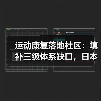 运动康复落地社区：填补三级体系缺口，日本技术如何革新行业？（图4）