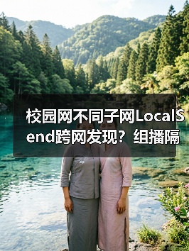 校园网不同子网LocalSend跨网发现？组播隔离的破局之道（图2）