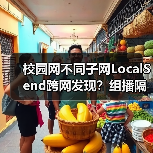校园网不同子网LocalSend跨网发现？组播隔离的破局之道（图3）