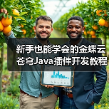新手也能学会的金蝶云苍穹Java插件开发教程（图1）