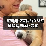 矩阵路径查找的DFS回溯详解与优化方案（图3）