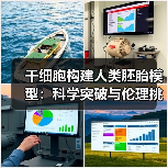 干细胞构建人类胚胎模型：科学突破与伦理挑战如何平衡？（图3）