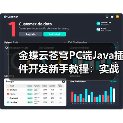 金蝶云苍穹PC端Java插件开发新手教程：实战教学示例（图3）