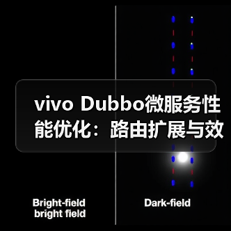 vivo Dubbo微服务性能优化：路由扩展与效率提升（图3）