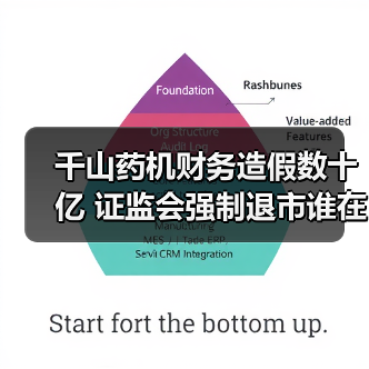 千山药机财务造假数十亿 证监会强制退市谁在操控？（图4）