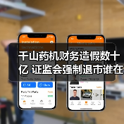 千山药机财务造假数十亿 证监会强制退市谁在操控？（图3）