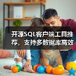 开源SQL客户端工具推荐，支持多数据库高效管理（图4）