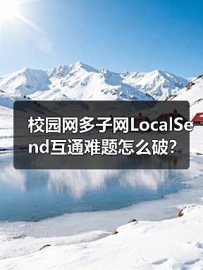 校园网多子网LocalSend互通难题怎么破？（图3）