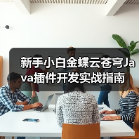 新手小白金蝶云苍穹Java插件开发实战指南（图2）