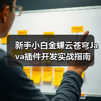 新手小白金蝶云苍穹Java插件开发实战指南（图4）