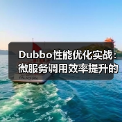 Dubbo性能优化实战：微服务调用效率提升的关键策略（图2）