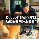 Dubbo性能优化实战：微服务调用效率提升的关键策略（图4）
