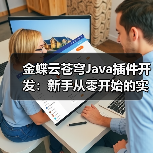 金蝶云苍穹Java插件开发：新手从零开始的实战指南（图1）