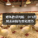 矩阵路径判断：DFS回溯法详解与优化技巧（图2）