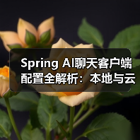 Spring AI聊天客户端配置全解析：本地与云端部署指南（图2）