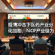 疫情冲击下医药产业分化加剧，NCP产业链为何逆势崛起？（图4）