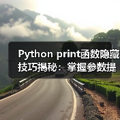 Python print函数隐藏技巧揭秘:掌握参数提升代码效率(图4) Python print函数隐藏技巧揭秘:掌握参数提升代码效率(图4)