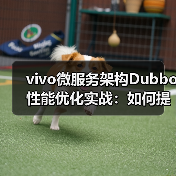 vivo微服务架构Dubbo性能优化实战：如何提升调用效率？（图1）