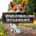 矩阵路径判断的三种高效方法及优化技巧（图3）