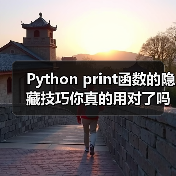 Python print函数的隐藏技巧你真的用对了吗?(图1) Python print函数的隐藏技巧你真的用对了吗?(图1)