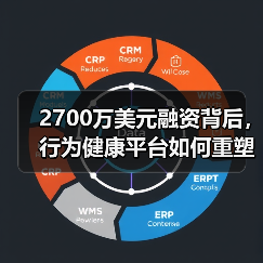 2700万美元融资背后，行为健康平台如何重塑心理健康服务？（图4）