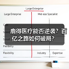 鹿得医疗能否逆袭？百亿之路如何破局？（图3）