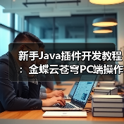 新手Java插件开发教程：金蝶云苍穹PC端操作示例（图4）