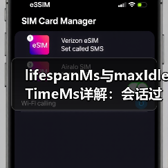 lifespanMs与maxIdleTimeMs详解：会话过期机制关键参数（图3）