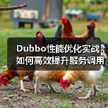 Dubbo性能优化实战：如何高效提升服务调用效率？（图1）