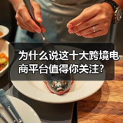 为什么说这十大跨境电商平台值得你关注？（图2）
