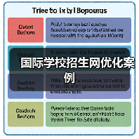 国际学校招生网优化案例