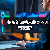 探析新网站不收录原因有哪些?（图2）