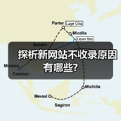 探析新网站不收录原因有哪些?（图3）