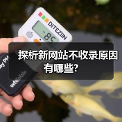 探析新网站不收录原因有哪些?（图4）