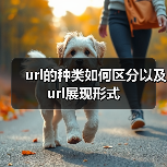 url的种类如何区分以及url展现形式