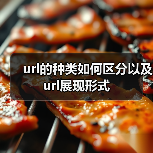 url的种类如何区分以及url展现形式（图4）
