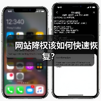 网站降权该如何快速恢复?(图4) 网站降权该如何快速恢复?(图4)