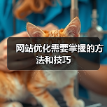 网站优化需要掌握的方法和技巧(图2) 网站优化需要掌握的方法和技巧(图2)