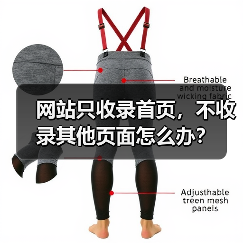 网站只收录首页，不收录其他页面怎么办？（图3）