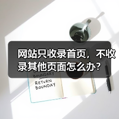 网站只收录首页，不收录其他页面怎么办？（图4）